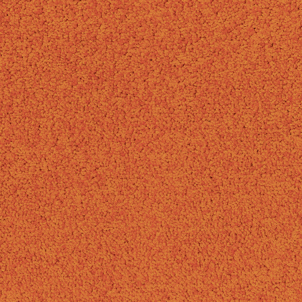Desso Palatino A072-5206 - 5 m2 Box / 20 Tiles - Commercial Contract Carpet tiles 500 mm x 500 mm