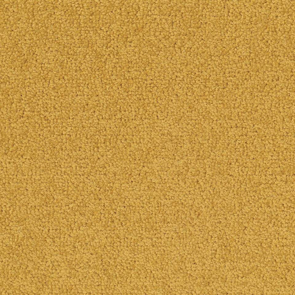 Desso Palatino A072-6016 – 5 m2 Box / 20 Tiles – Commercial Contract Carpet tiles 500 mm x 500 mm